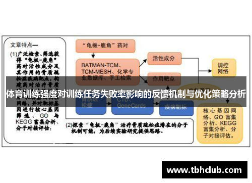 体育训练强度对训练任务失败率影响的反馈机制与优化策略分析